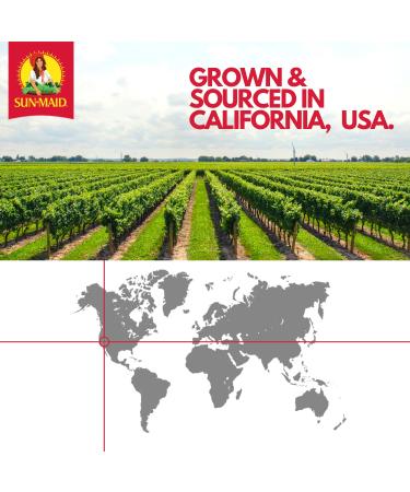 Sun-Maid Chocolate Yogurt Covered Raisin Snacks 1oz Pack of 6 - Kid-Friendly Snack Size - Buy Online on GoSupps.com