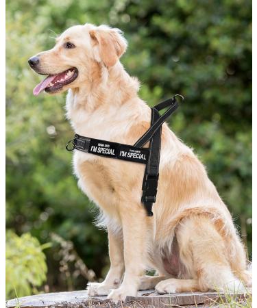 Eeyfarog No Pull Dog Harness for Small & Medium Dogs - Reflective Adjustable Safe Black - Ideal for Comfort & Control - Buy Online on GoSupps.com