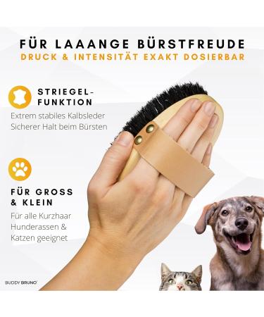 Buddy Bruno Dog Brush for Short Hair - 100% Natural Bristles | Premium Fur Care for Dogs & Cats | Includes Brush Cleaner | Made in DE - Buy Online on GoSupps.com