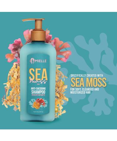 Mielle Organics Sea Moss Anti-Shedding Shampoo - Nourish & Strengthen Hair | International Shipping Available - Buy Online on GoSupps.com