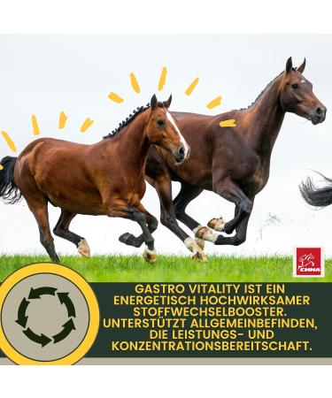 Gastrointestinal Paste Probiotics Brewer's Yeast Horse I Vitamin EI Yeast Culture Intestinal Flora Gastrointestinal - Vitamin I After Colic Skimmer Diarrhea Metabolism Horse 2 x 30 ml - Buy Online on GoSupps.com