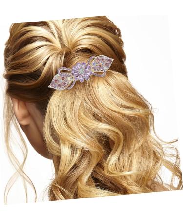 Didiseaon Hair Clip Rhinestones Barrettes Tiara Rhinestone Bobby Pins Barrettes for Women Ponytail Metal Hair Miss Purple Metal Hair Clips - Buy Online on GoSupps.com