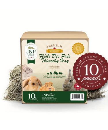Timothy Hay 10 lb. 2nd Cut by JNP Farms 100% Canadian. Hay for Rabbits Guinea Pigs Chinchillas Hamsters Premium Quality All-Natural