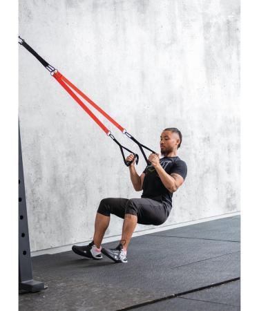 Everlast FIT Body Weight Suspension Trainer - Strength Training Fitness Tool Adjustable Easy Setup Carry Bag Included - Full-Body Workout Mobility & Flexibility Pilates Home Gym Accessories - Buy Online on GoSupps.com