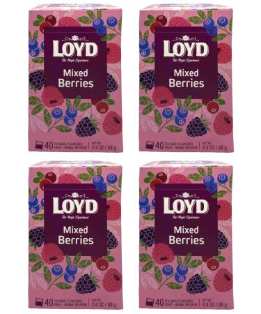 Loyd Tea 40 Teabag X4 Mixed Berries Flavour 160 Total Fruit Tea Drink Home Office Work