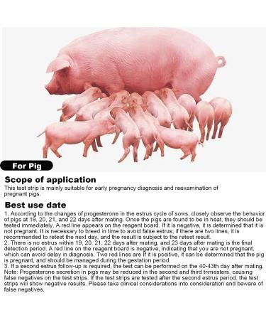 Pregnancy Test Strip - Accurate Rapid 10Pcs Digital Tests for Early Diagnosis - Pregnancy Detection Tool for Pig - Buy Online on GoSupps.com