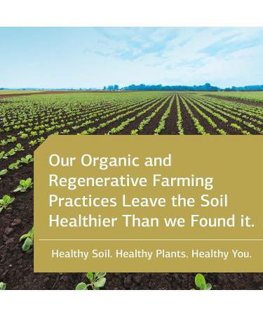 Standard Process E-Z Mg 180 Tablets - Plant-Based Organic Formula for Magnesium Intake Support - Buy Online on GoSupps.com