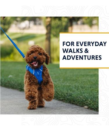 RUFFWEAR Front Range No Pull Dog Leash - 1.5m Lightweight & Adjustable Lead for Dog Walking & Training, Blue Pool, One Size - Buy Online on GoSupps.com
