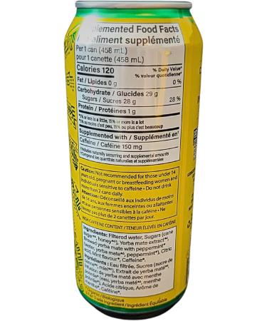 Guayaki Yerba Mate Tea Canned Beverage Enlighten Mint Flavor 458 mL (Pack of 12) - Buy Online on GoSupps.com