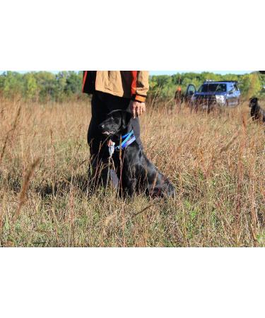 HuntEmUp Ultimate Teal Hunting Dog Training Scent and Realistic Teal Duck Dummy - Waterfowl Puppy Gundog Training Bundle Sporting Dog Pointer Retriever Retrieving Trainer - Buy Online on GoSupps.com