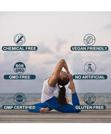 Acetyl L-Carnitine Gummies 1000 MG - Vegan Sugar-Free Supplement for Muscle Endurance Brain Health & Energy - Blueberry Flavor - 60 Count - Buy Online on GoSupps.com
