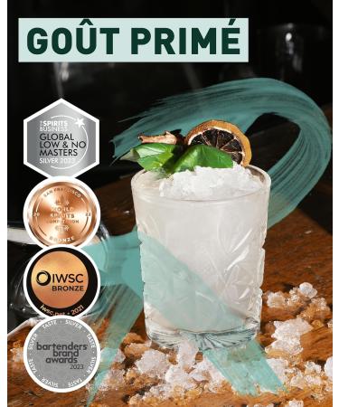 REBELS 0.0% Alternative sans Alcool au Gin 500 ml | Double distillation pour un ar me intense | Go t prim | Boisson v gane sans alcool | Pour mixer un cocktail sans alcool | Ap ritif - Buy Online on GoSupps.com