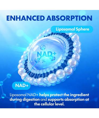 Blue Haven Rx NAD+ Supplement - NMN Alternative with Liposomal NAD+ Trans Resveratrol Manganese Apigenin Plus Pterostilbene for Women and Men Anti Aging Support - Buy Online on GoSupps.com