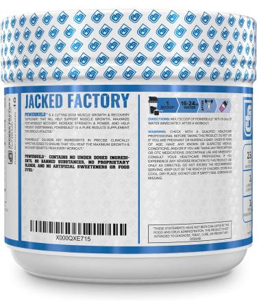POWERBUILD Post Workout Recovery Supplement - Muscle Growth & Strength Boost - Creatine, Glutamine & More - Mixed Berry Blast 13.76 Oz - Buy Online on GoSupps.com