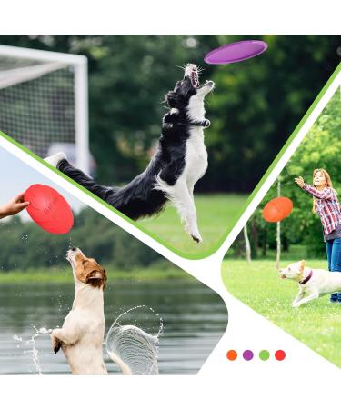 JSMTKJ Dog Frisbee Set - 4 Natural Rubber Flying Discs for Training & Play | Perfect Dog Toys in Orange Red Green Purple - Buy Online on GoSupps.com