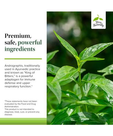 Terry Naturally Andrographis EP80 with Umckaloabo - Sinus Health Support - Supplement to Support Mucus Relief & Respiratory Function - Vegan Capsules to Aid Immune Health - 60 Capsules (60 Servings) - Buy Online on GoSupps.com