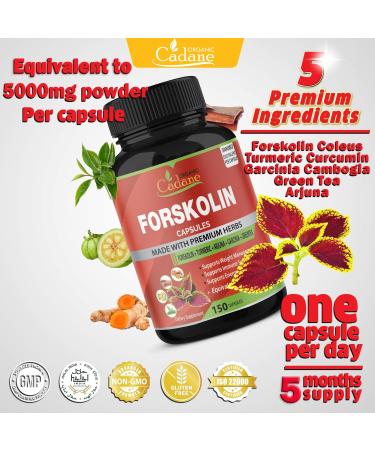 Forskolin Extract Capsules 5000mg - 5 Month Supply | With Turmeric, Arjuna, Garcinia Cambogia & Green Tea | Nourishing Diet Support and Energy Booster - Buy Online on GoSupps.com