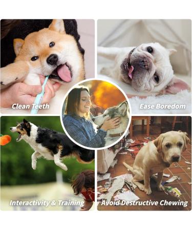 Rainbow-K9 12 Pack Dog Squeaky Toys Cute Plush Toys Stuffed Fruits Vegetables Dog chew Toy Squeaky Dog Toys for Puppy Small Dog Pets - Buy Online on GoSupps.com