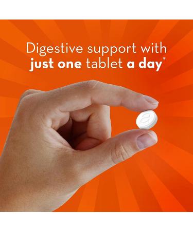 Align Probiotic Chewable Tablets | Digestive Support for Men and Women | 24/7 Gut Health | Recommended by Doctors | 24 Tablets - Buy Online on GoSupps.com