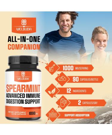 1000mg Spearmint Capsules with Elderberry Echinacea Berberine HCI & More - Support Digestive Relaxation Mood Respiratory Function & Immune System - 90 Veggie Capsules 90 Count (Pack of 1) - Buy Online on GoSupps.com