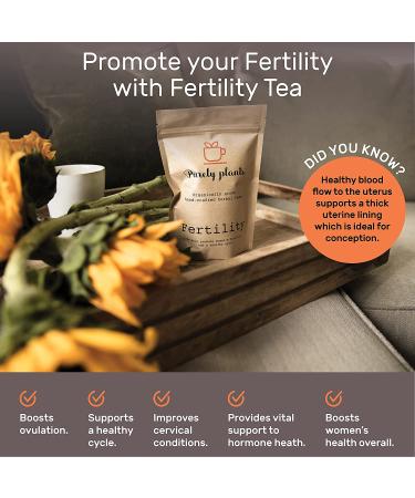 Fertility Tea by Purely Plants | Herbal Fertility Supplements for Women | Organic Fertility Blend Tea - 16 Pyramid Bags - Buy Online on GoSupps.com