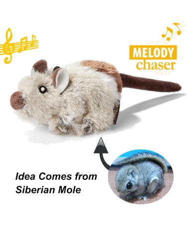 Vealind Interactive Cat Toy 2 Pack - Electronic Bird & Mouse with Sound | Ideal for Cats | Best Quality Pet Toys - Buy Online on GoSupps.com
