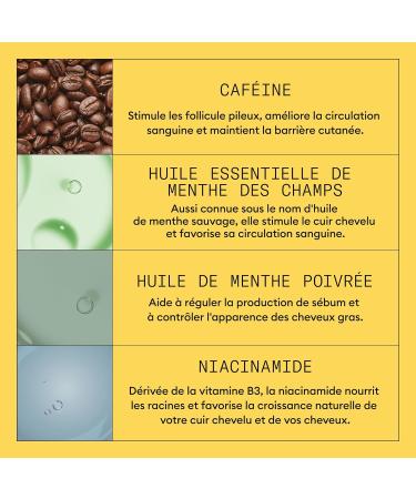 NIOXIN System 1 - for Natural Hair Moderate Hair Loss - Kit/Shampoo/Conditioner/Scalp Care - Buy Online on GoSupps.com