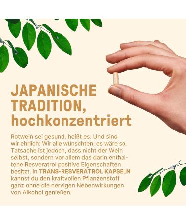 Buy Trans Resveratrol 500mg - Vegan High-Dose Capsules with Japanese Knotweed Extract - 60 Additive-Free Sirtuin Powder Capsules - Buy Online on GoSupps.com