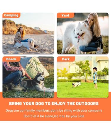 HaiYUAN Dog Tie Out Cable 10/15/20/30FT Dog Run Cable Orange/Grey Tie Out Cable for Dogs with Reflects Light Dog Cable for Large Dogs Heavy Duty for Outside Hold Large Dogs Up to 100LBS 10ft Orange4mm - Buy Online on GoSupps.com