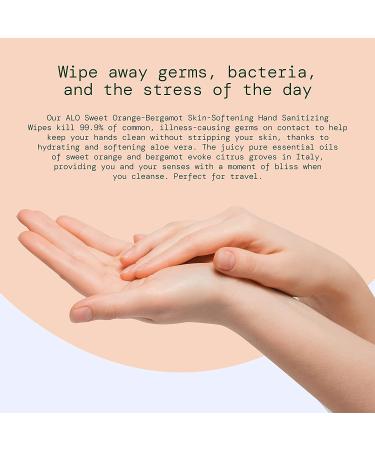 AL Sweet Orange Bergamot + Aloe Sanitizing Hand Wipes - 60ct Travel Size Pack - On The Go Hand Sanitizer for Kids and Adults - Buy Online on GoSupps.com