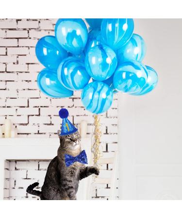 Shop Dher Pet Birthday Set - Gold Sequin Hat & Decor for Dogs & Cats - Festive Party Accessories (Blue) - Buy Online on GoSupps.com