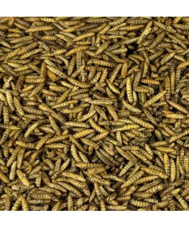 22lb - Dried Black Soldier Fly Larvae by Premium Feeders Dried mealworms Alternative Treats for Chicken Hens Duck Bird Lizard Tortoise Fish High Calcium & Protein All Natural BSF - Buy Online on GoSupps.com