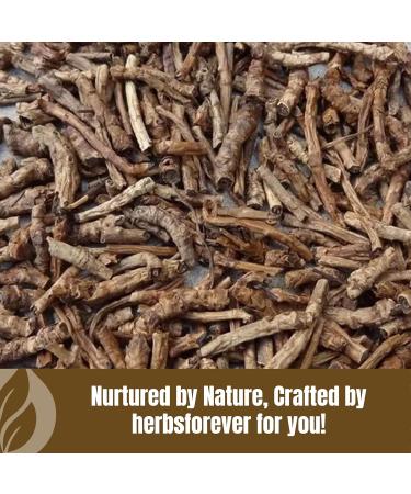 Herbsforever Kutki Root Powder(PicrorhizaKurroa)-Supports Liver Skin Health & Blood Purifier Cooling Herb| Wild Harvested- 2X Potency | Ultra Clean | Authentic | High-Altitude Sourced | 230Gms-1/2LBS - Buy Online on GoSupps.com