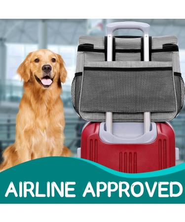 Large Dog Travel Bag Set | Includes Collapsible Food Containers & Chains | Perfect for Weekend Getaways - Buy Online on GoSupps.com