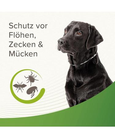 Beaphar Tick & Flea Protection Collar for Dogs - Waterproof Reflective Collar Effective Tick & Flea Defense International Shipping - Buy Online on GoSupps.com