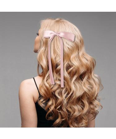 Andibro Silky Satin Hair Bows with Tassel 4 colors Hair Ribbon Barrettes Satin Bowknots Hair Pins Cute Princess Hair Bows French Clips Ponytail Holder Aesthetic Hair Accessories for Women Girls(B) - Buy Online on GoSupps.com