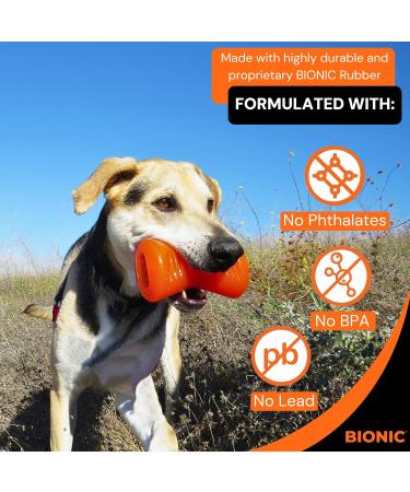 Bionic Bone 12cm - Extremely Durable Dog Toy for Aggressive Chewers | International Shipping Available - Buy Online on GoSupps.com