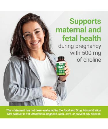 Nested Naturals Choline Bitartrate 500mg - High Potency Choline Supplements - Supports Maternal & Fetal Health During Pregnancy* - 100% Vegan & Non-GMO - 2-Pack (180 Vegan Capsules) 90 Count (Pack of 2) - Buy Online on GoSupps.com