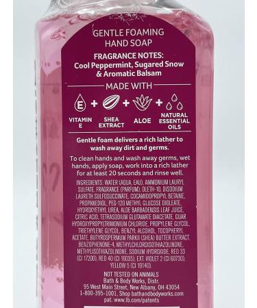Bath and Body Works Holiday Gentle Foaming Hand Soap Set of 5 - Perfect for Gifts & Home Care | International Shipping Available - Buy Online on GoSupps.com