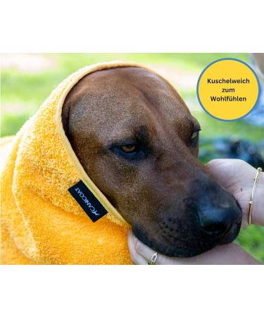 Canicoat Dog Towel SECCARE Set with Glove - Oeko-Tex Certified Fast Drying Microfiber (S/M Blue) - International Shipping Available - Buy Online on GoSupps.com