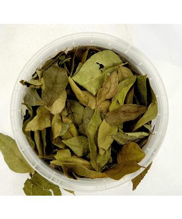 Nature Kitchen Curry Leaf 50g: Gluten-Free Vegan Seasoning Blend for Everyday Cooking - Marinades, Sauces, Frying, Baking, Grilling - Buy Online on GoSupps.com