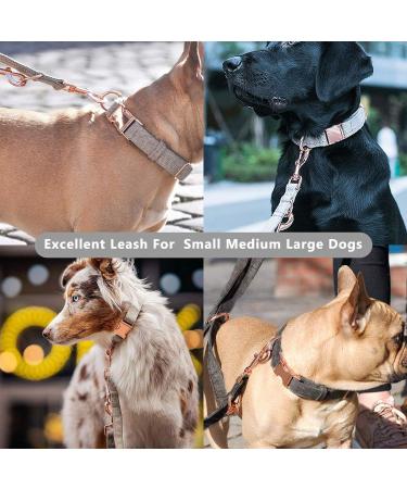 Rose Gold Dog Collar and Lead(2m) Set | Exceptionally Elegant & Adjustable | 3 Adjustable Lengths Dog Leash | Soft and Easy to Clean L(15.7"-25.6") Beige - Buy Online on GoSupps.com