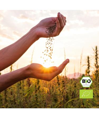 Buy Hanfbayer Organic Hemp Seeds 1000g - Protein-Rich Superfood Vegan Recipes & Omega-3 - Unpeeled Raw Food Quality - Buy Online on GoSupps.com