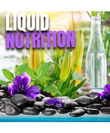 Omnitrition Bundle of 2 Products - the "AM and PM Bundle" Includes Omni IV Liquid Vitamin with Glucosamine and OmniTrim Nite Lite - Buy Online on GoSupps.com