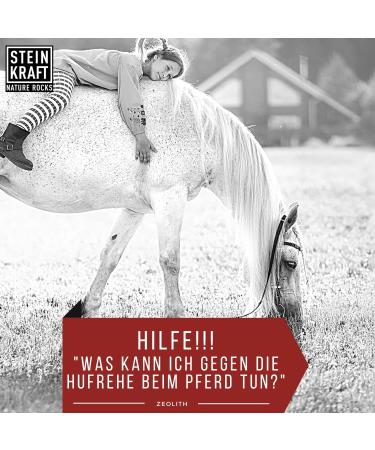 Stone Power Zeolite Powder for Horses - 1kg 24 m Clinoptilolite-Rich Natural Minerals & Trace Elements - Buy Online on GoSupps.com
