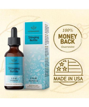 HERBAMAMA Organic Stinging Nettle Root Tincture - Urtica Dioica Herbal Drops - 2 fl oz Liquid Extract - Natural Supplement - Buy Online on GoSupps.com