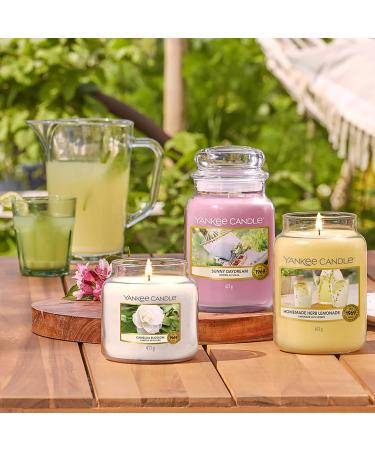 Yankee Candle Camellia Blossom - Medium Glass Fragrance Candle | 75 Hour Burn Time | Garden Hideaway Collection - Buy Online on GoSupps.com
