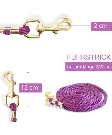 Shop Stylish Leading Knit for Horses - Versatile Leash for Ponies Donkeys & Goats (Turquoise + Purple) - Buy Online on GoSupps.com
