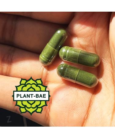 Spirulina and Chlorella Organic Detox Capsules - 240 Count Made in USA | Boost Energy & Antioxidants - Buy Online on GoSupps.com