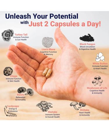 BIO Bloomz Premium Mushroom Complex Capsules - Lion's Mane Supplement Wellness Formula with Turkey Tail, Shiitake, Cordyceps, Reishi, Chaga, Maitake - Immune Support Mushrooms Herbal Supplements - 60 - Buy Online on GoSupps.com